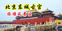 男人操美女无遮挡中国北京-东城古宫旅游风景区